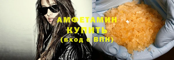 индика Новокубанск