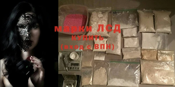индика Новокубанск