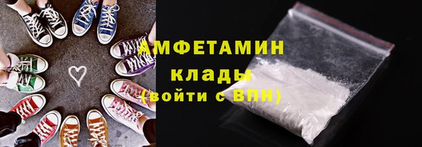 индика Новокубанск
