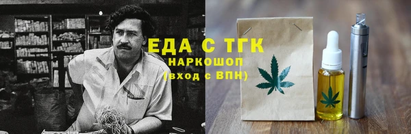 индика Новокубанск