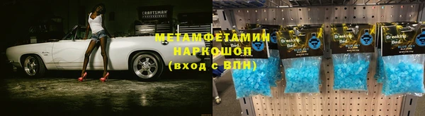 индика Новокубанск