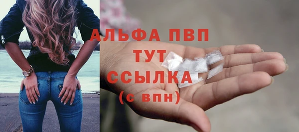 индика Новокубанск