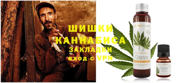 индика Новокубанск
