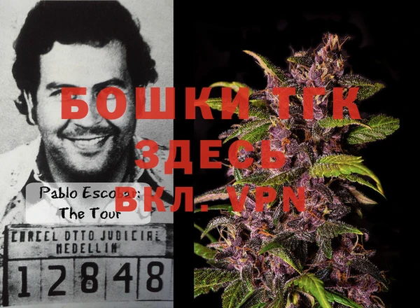 трава Белая Холуница