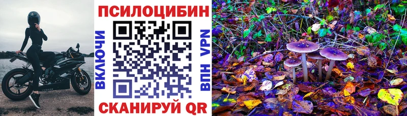 Псилоцибиновые грибы Cubensis  Ишимбай 